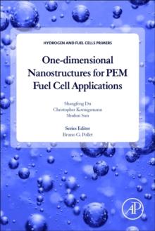 One-dimensional Nanostructures for PEM Fuel Cell Applications