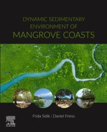 Dynamic Sedimentary Environments Of Mangrove Coasts