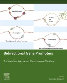 Bidirectional Gene Promoters : Transcription system and chromosomal structure