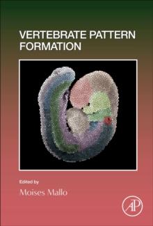 Vertebrate Pattern Formation : Volume 159