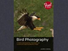 Bird Photography : A Guide to the Equipment, Techniques, and Locations for Capturing Beautiful Images