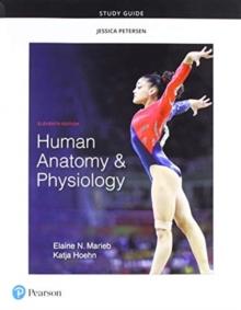 Study Guide for Human Anatomy & Physiology