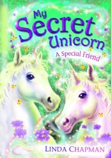 My Secret Unicorn: A Special Friend