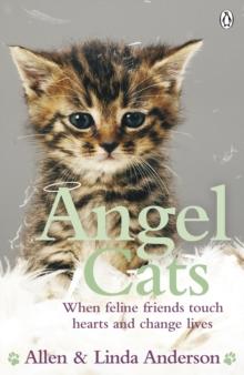 Angel Cats : When feline friends touch hearts and change lives