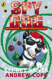 Spy Dog Secret Santa