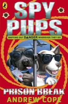 Spy Pups: Prison Break