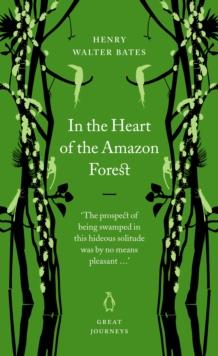 In the Heart of the Amazon Forest