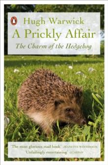 A Prickly Affair : The Charm of the Hedgehog