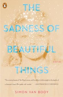 The Sadness Of Beautiful Things : Stories