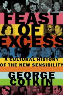 Feast of Excess : A Cultural History of the New Sensibility