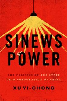 Sinews of Power : The Politics of the State Grid Corporation of China