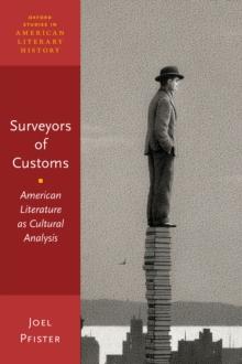 Surveyors of Customs : American Literature as Cultural Analysis