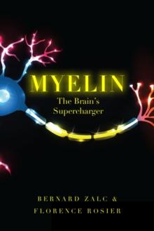 Myelin : The Brain's Supercharger