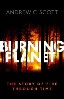 Burning Planet : The Story of Fire Through Time