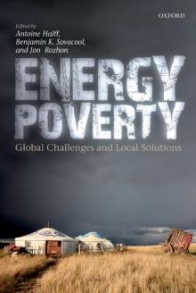 Energy Poverty : Global Challenges and Local Solutions