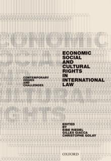 Economic, Social, and Cultural Rights in International Law : Contemporary Issues and Challenges