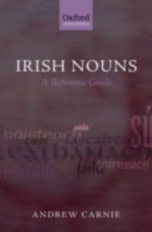 Irish Nouns : A Reference Guide