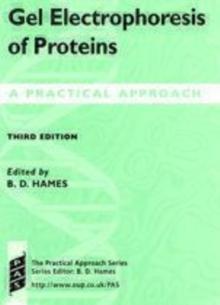 Gel Electrophoresis of Proteins