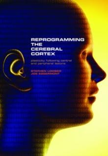 Reprogramming the Cerebral Cortex : Plasticity following central and peripheral lesions