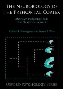 The Neurobiology of the Prefrontal Cortex : Anatomy, Evolution, and the Origin of Insight