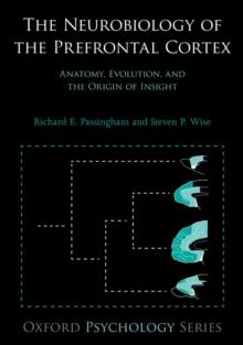 The Neurobiology of the Prefrontal Cortex : Anatomy, Evolution, and the Origin of Insight