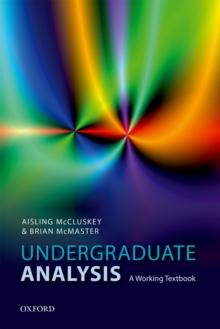 Undergraduate Analysis : A Working Textbook