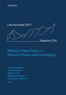 Effective Field Theory in Particle Physics and Cosmology : Lecture Notes of the Les Houches Summer School: Volume 108, July 2017