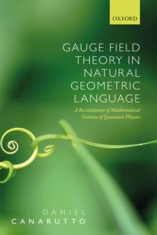 Gauge Field Theory in Natural Geometric Language : A revisitation of mathematical notions of quantum physics