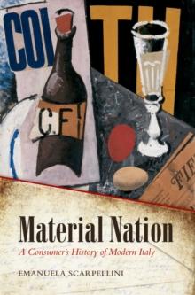 Material Nation : A Consumer's History of Modern Italy