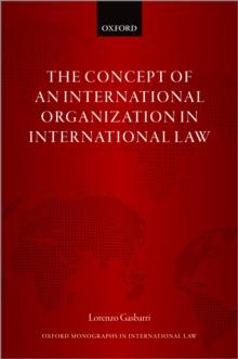 The Concept of an International Organization in International Law