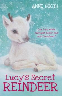 Lucy's Secret Reindeer