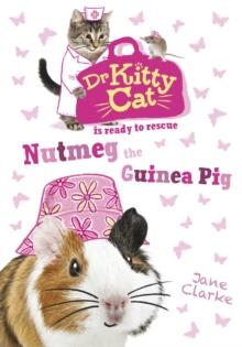 Dr KittyCat is ready to rescue: Nutmeg the Guinea Pig