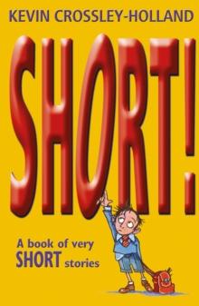 Short! : A Book of Very Short Stories