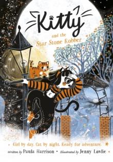 Kitty and the Star Stone Robber