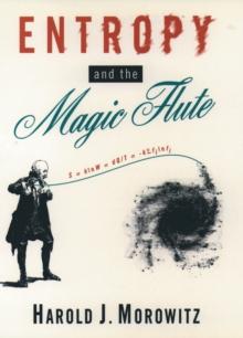 Entropy and the Magic Flute