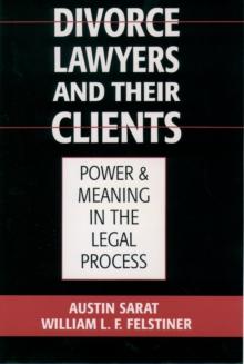 Divorce Lawyers and Their Clients : Power and Meaning in the Legal Process