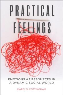 Practical Feelings : Emotions as Resources in a Dynamic Social World