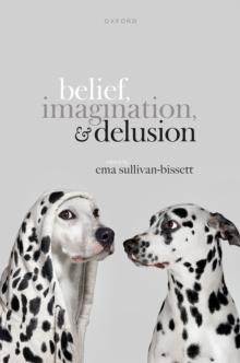 Belief, Imagination, and Delusion