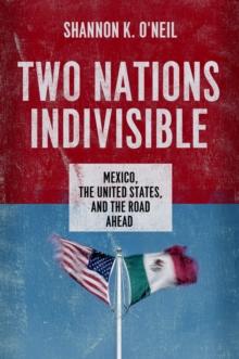 Two Nations Indivisible : Mexico, the United States, and the Road Ahead