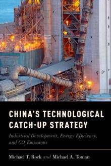 China's Technological Catch-Up Strategy : Industrial Development, Energy Efficiency, and CO2 Emissions