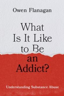 What Is It Like to Be an Addict? : Understanding Substance Abuse