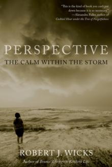 Perspective : The Calm Within the Storm