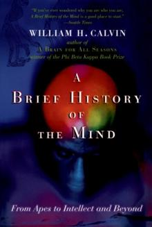 A Brief History of the Mind : From Apes to Intellect and Beyond