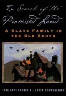 In Search of the Promised Land : A Slave Family in the Old South