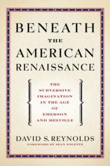 Beneath the American Renaissance : The Subversive Imagination in the Age of Emerson and Melville