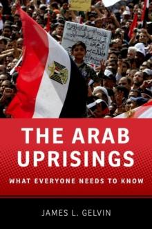 The Arab Uprisings : What Everyone Needs to Know?