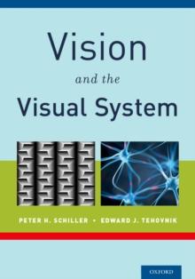 Vision and the Visual System