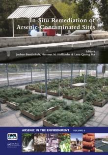 In-Situ Remediation of Arsenic-Contaminated Sites