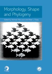 Morphology, Shape and Phylogeny