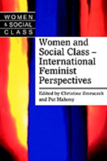 Women and Social Class : International Feminist Perspectives